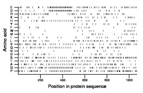 amino acid map