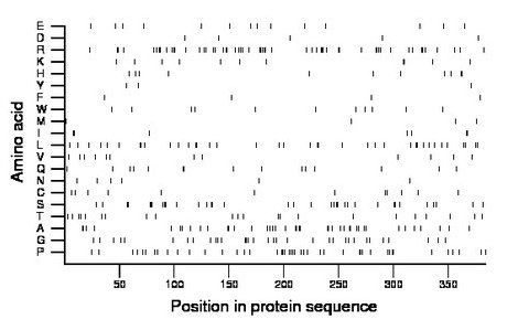 amino acid map