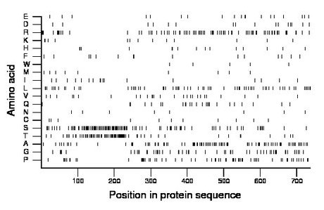 amino acid map