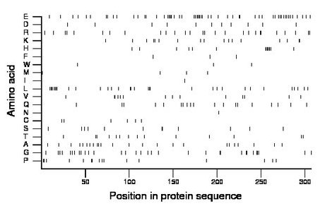 amino acid map