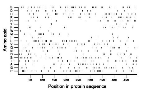 amino acid map