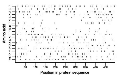 amino acid map