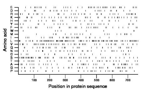 amino acid map