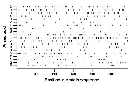 amino acid map