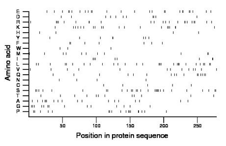 amino acid map