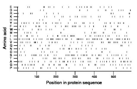 amino acid map