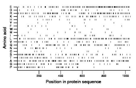 amino acid map