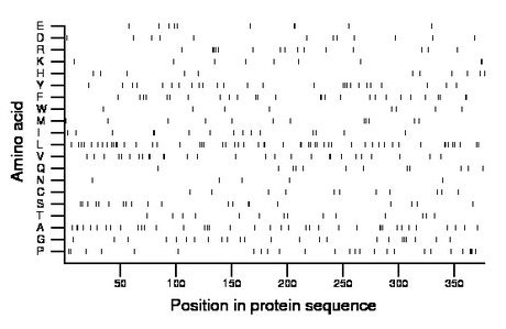 amino acid map