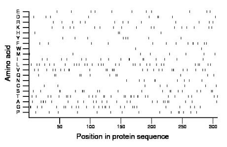 amino acid map