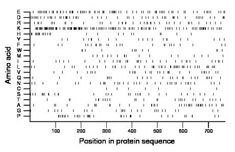 amino acid map