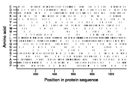 amino acid map