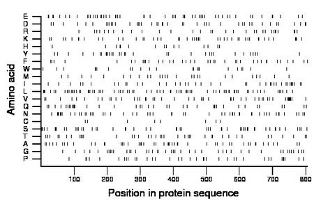 amino acid map