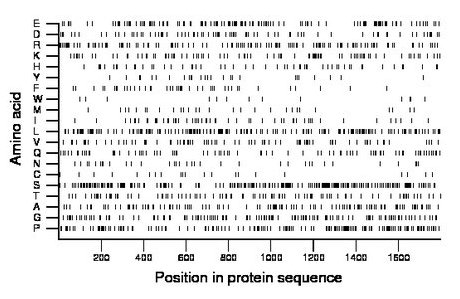 amino acid map