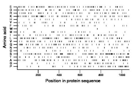 amino acid map