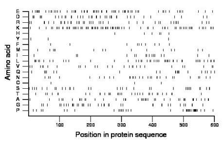 amino acid map