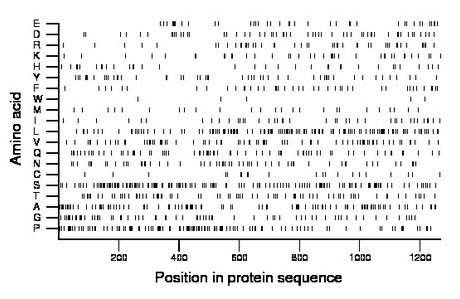 amino acid map