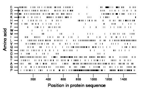 amino acid map