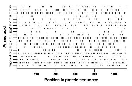 amino acid map