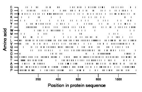 amino acid map