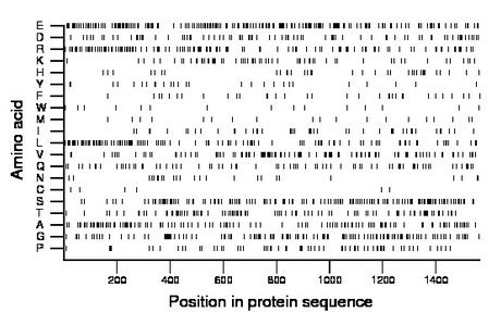 amino acid map