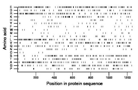 amino acid map