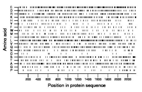 amino acid map