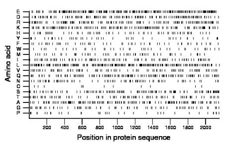 amino acid map