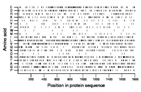 amino acid map