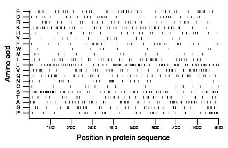 amino acid map