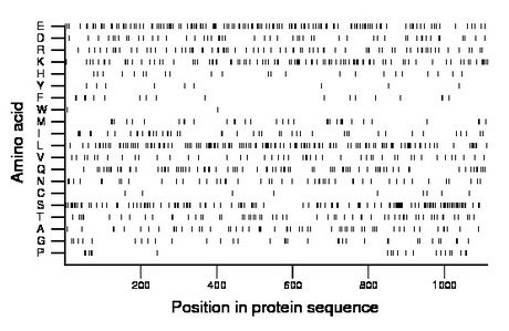 amino acid map