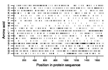 amino acid map