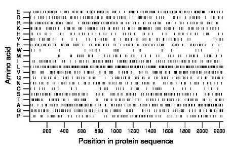 amino acid map