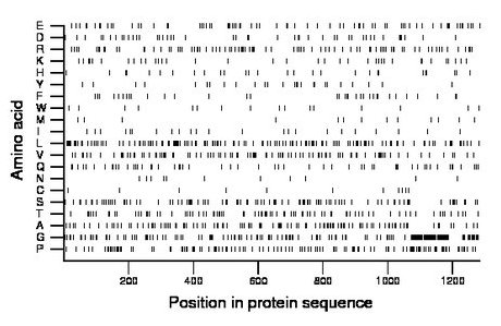 amino acid map