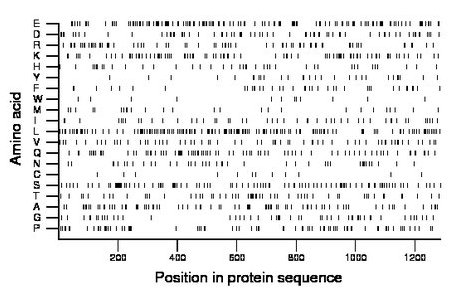 amino acid map