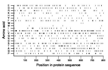 amino acid map