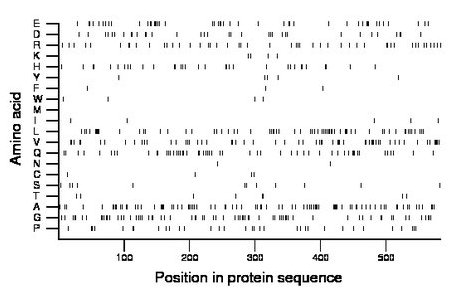 amino acid map