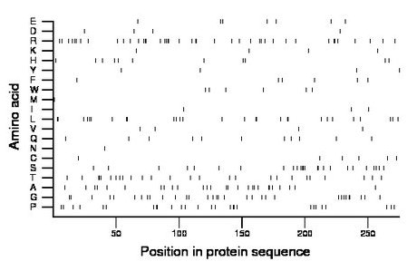 amino acid map