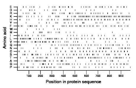 amino acid map