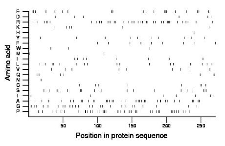 amino acid map