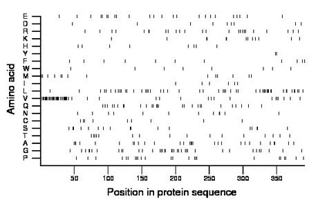 amino acid map