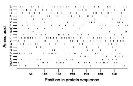 amino acid map