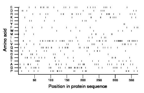 amino acid map