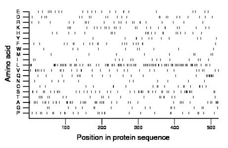 amino acid map