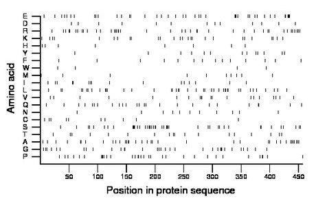 amino acid map