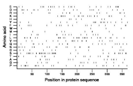 amino acid map