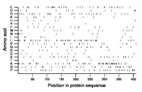 amino acid map