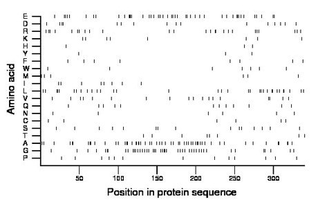 amino acid map