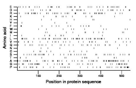 amino acid map