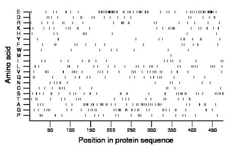 amino acid map