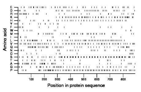 amino acid map